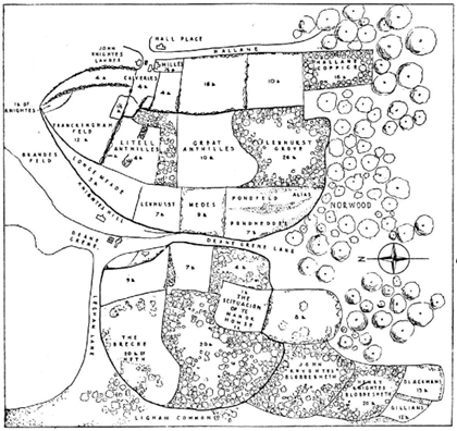 TheManorHouse Map of Levehurst Manor (West Norwood), 1563