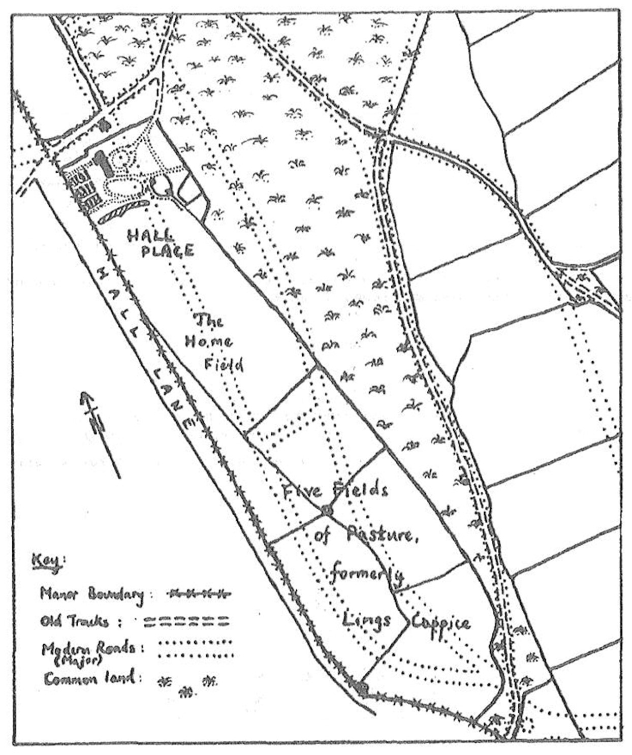 hallplace-estate Plan of Hall Place estate c.1806. The dotted lines indicate the modern roads in the same area. South Croxted Road now runs through ‘the Home Field’; Alleyn Road, joined by Church Approach, is to the right. Further to the right, Alleyn Park and Bowen Drive mostly follow the line of the old tracks. Park Hall Road is in the top left-hand corner (i.e. across the corner).
